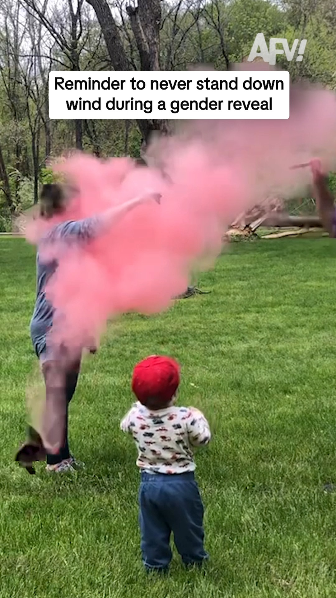 Next gender reveal idea -... - America's Funniest Home Videos | Facebook