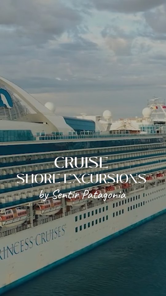 🛳️ If your cruise stops in Puerto Madryn, you have the chance to ...