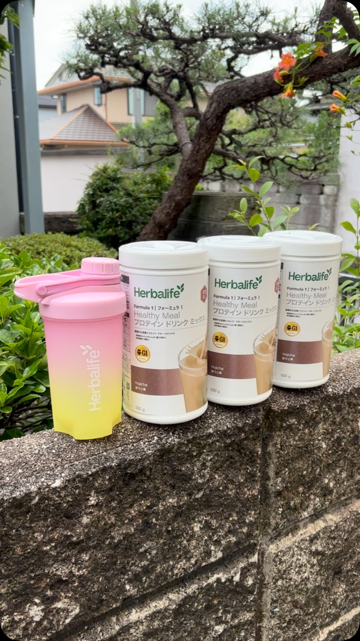 本日発売／ ＼数量限定／ 和の香りに、満たされる。 日本オリジナル