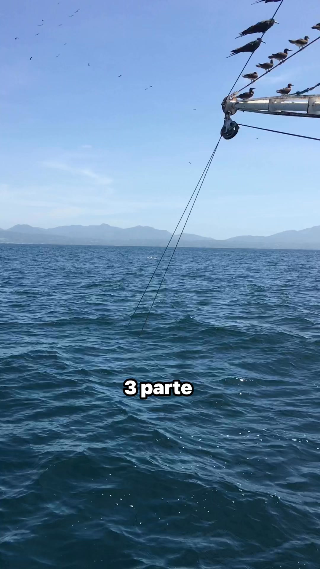 Así se levanta el trasmallo paso a paso #viralfishing #pescadejurel ...
