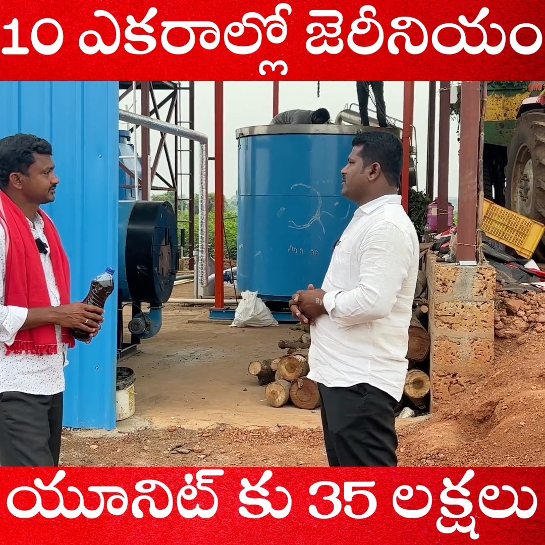 10 ఎకరాల్లో జెరీనియం యూనిట్ కు 35 లక్షలు #rythubadi #agriculture ...