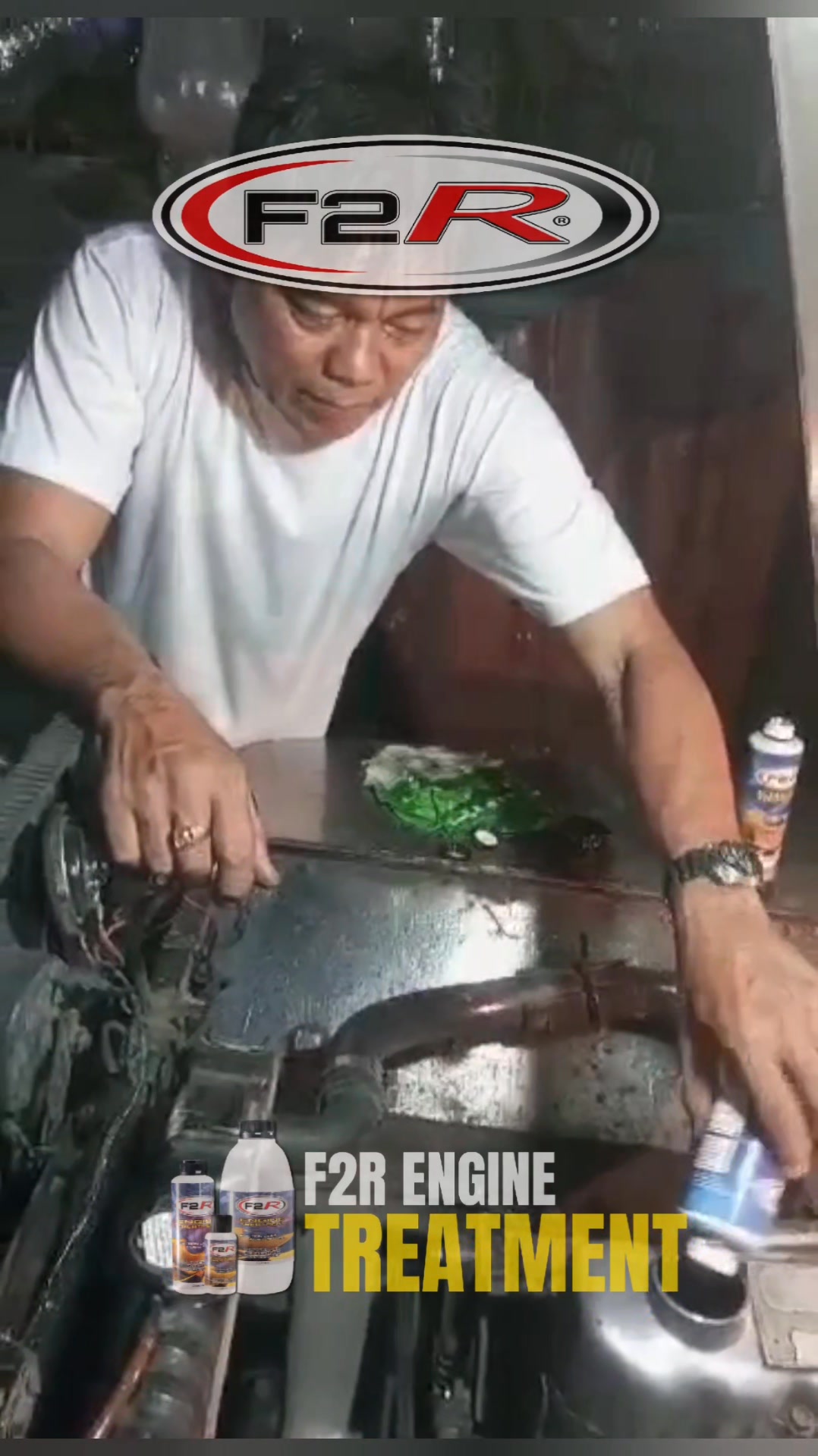 F2R Engine Treatment - Luzon