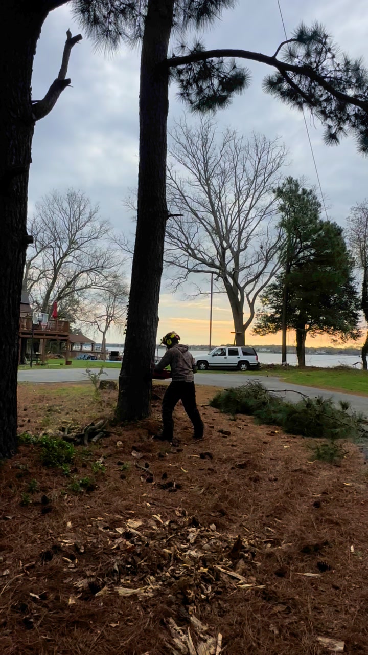Amg Lawn & Tree Services