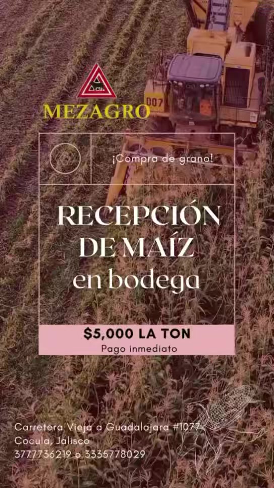 Mezagro | Cocula