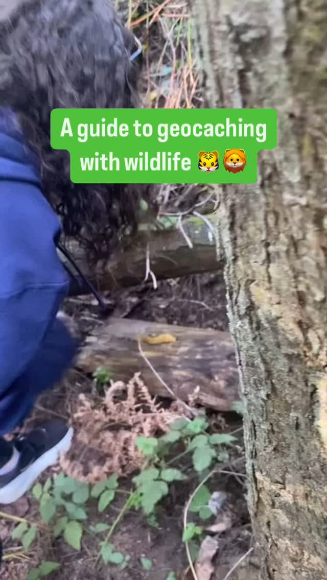 🐌 Slimy, yet satisfying… 🐌 What would you do if you found a bug in a ...