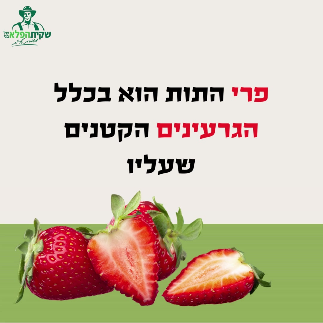 10 עובדות מדהימות שלא ידעתם על תותים 🍓 🍓מקור המילה 