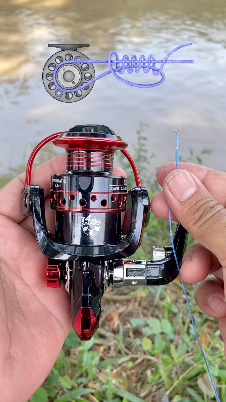 best freshwater fishing reel brands Amazon Sellers: Best Reels Style:32
