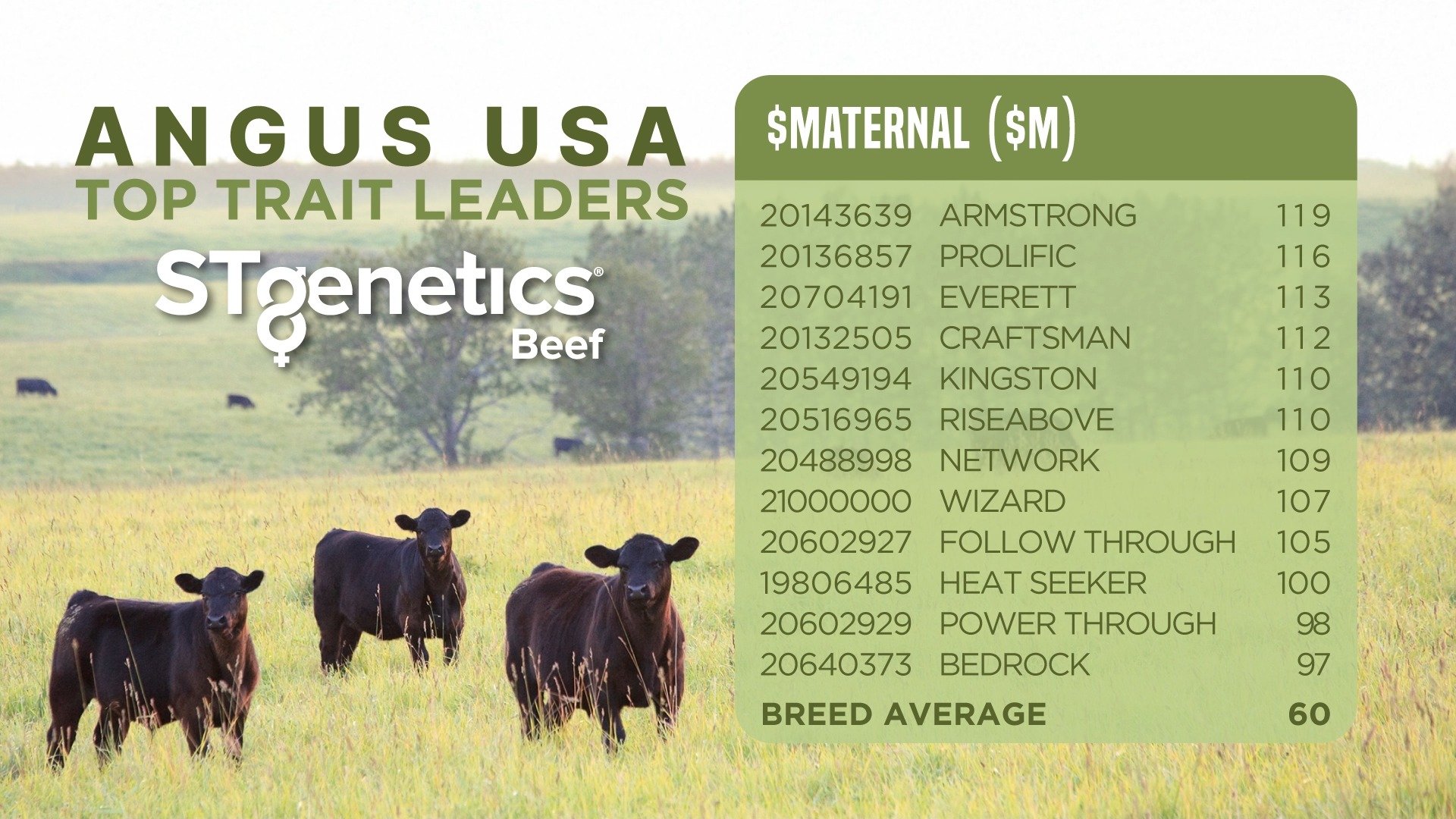 $MATERNAL LEADERS 😎 Listen to Aaron Arnett and Ben Crites break down ...