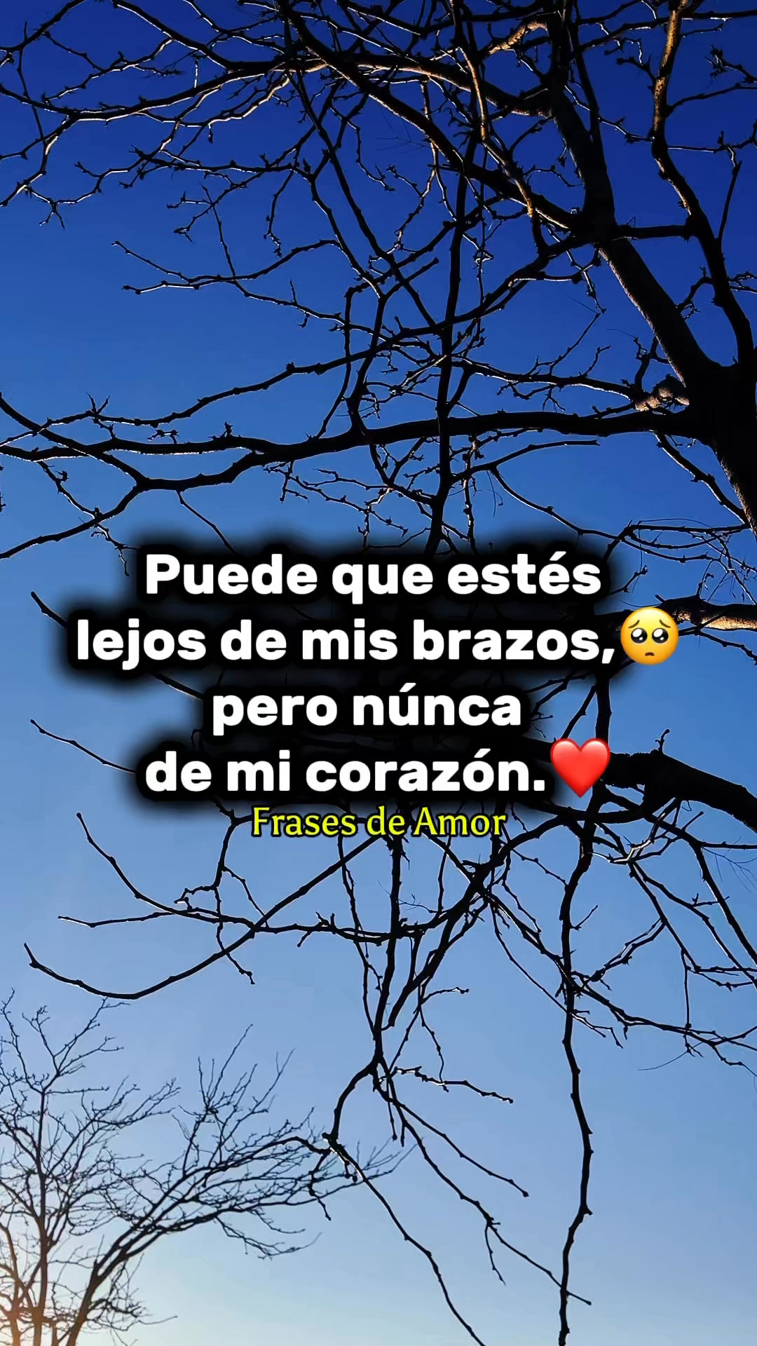 Te extraño mucho,mi amor.🥺 ️ #teextrañomucho #miamor #reelsviralシ ...