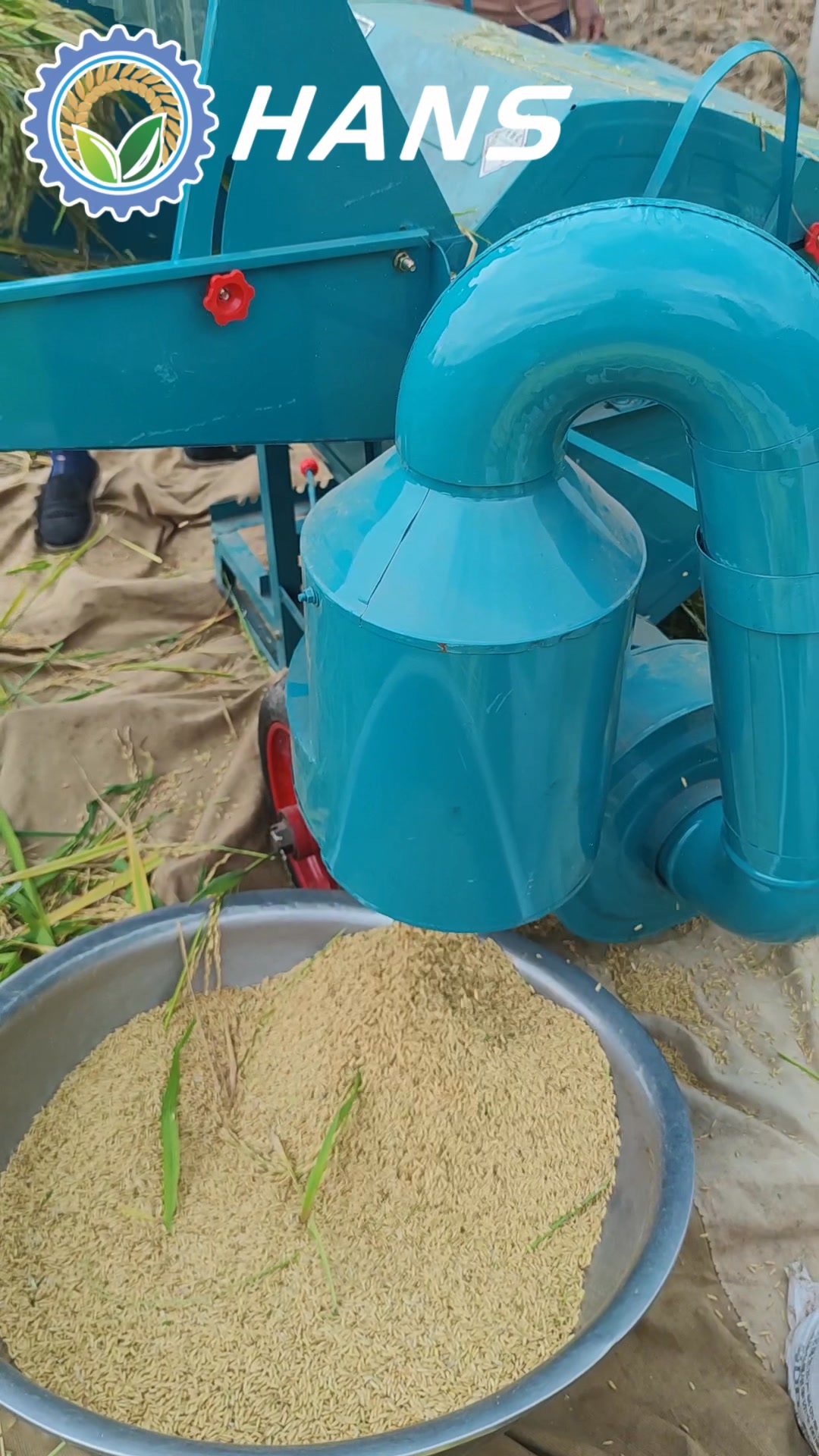 🥇Multifunctional thresher can for rice, corn, wheat, soybeans, rape and ...