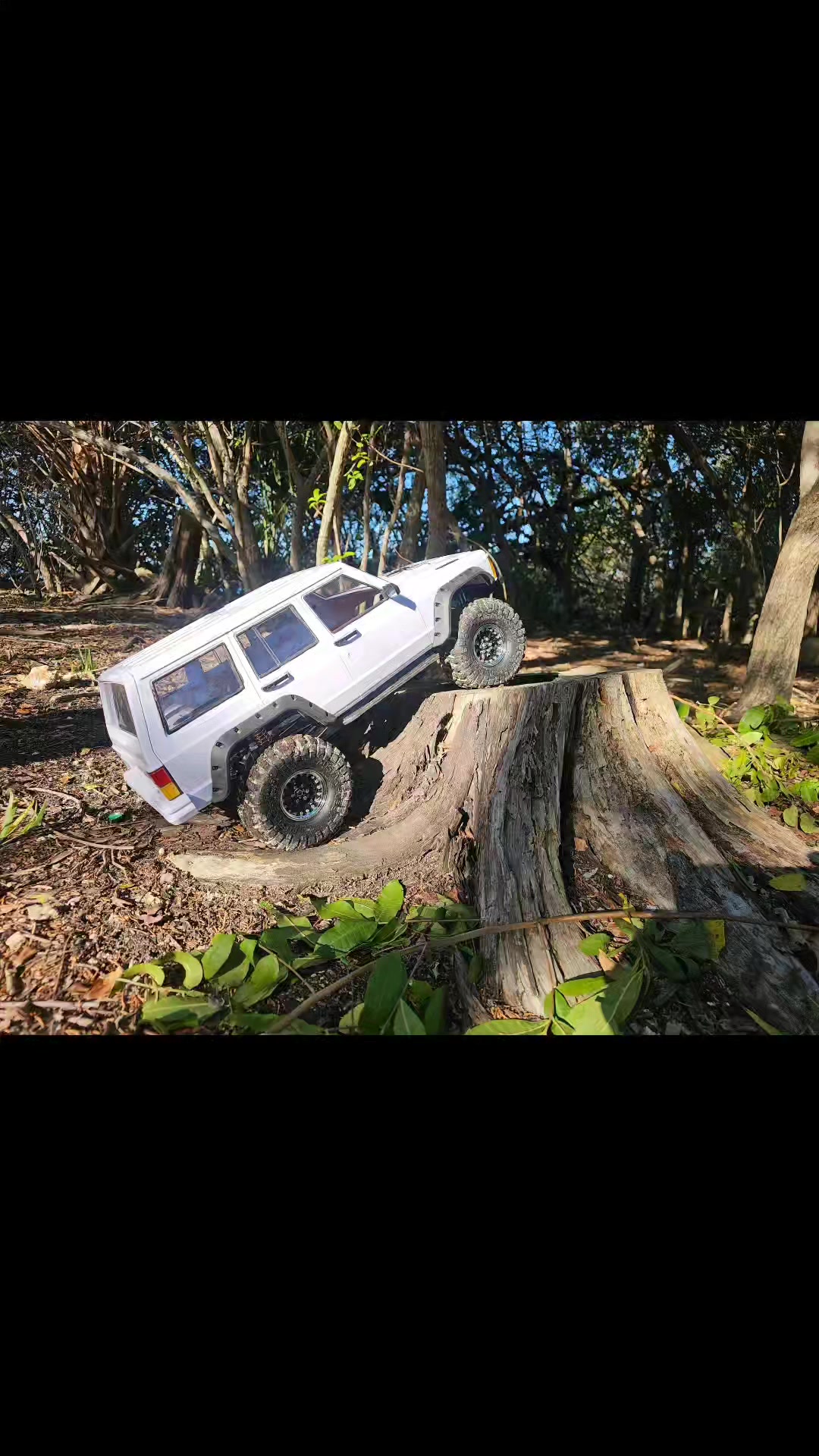 Rc Terminator - Rc Terminator added a new photo.