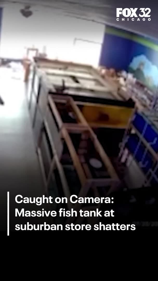 A fish tank suddenly burst at Something Fishy Pets in Fox Lake
