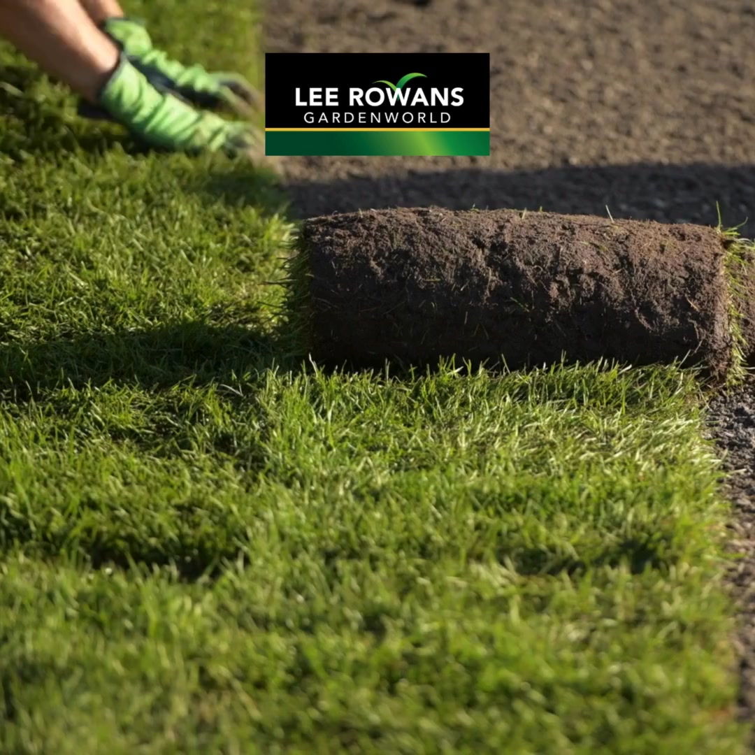 Roll our the green carpet, turf on sale now! Speak to our experts on ...