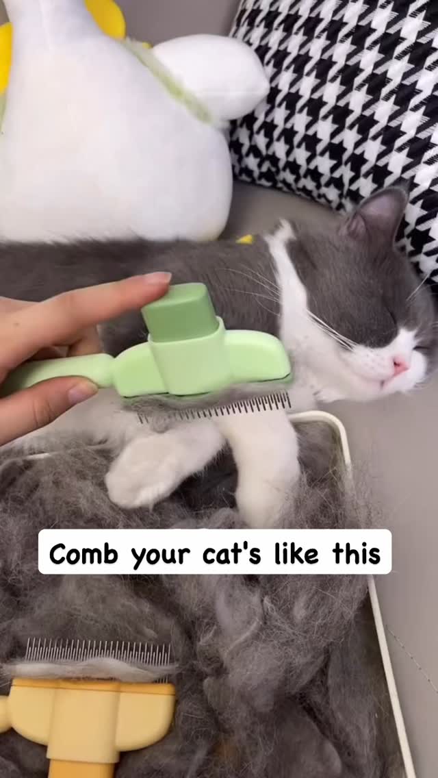 Curated visual reference: Fresh Look at Meet The Ultimate Pet Detangling Comb Your Secret Weapon