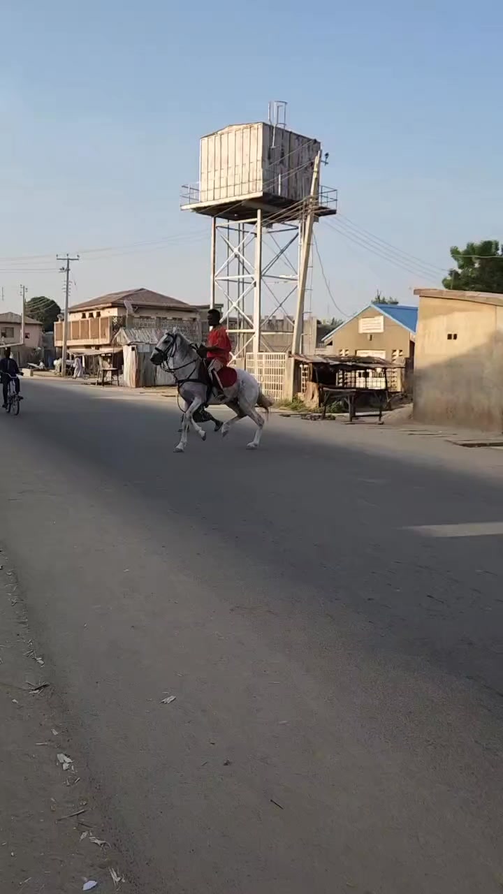 HURDE!🥰🐴 DM #AREWA24 #worldrider #MoroccoRiders #masarauta #riders # ...