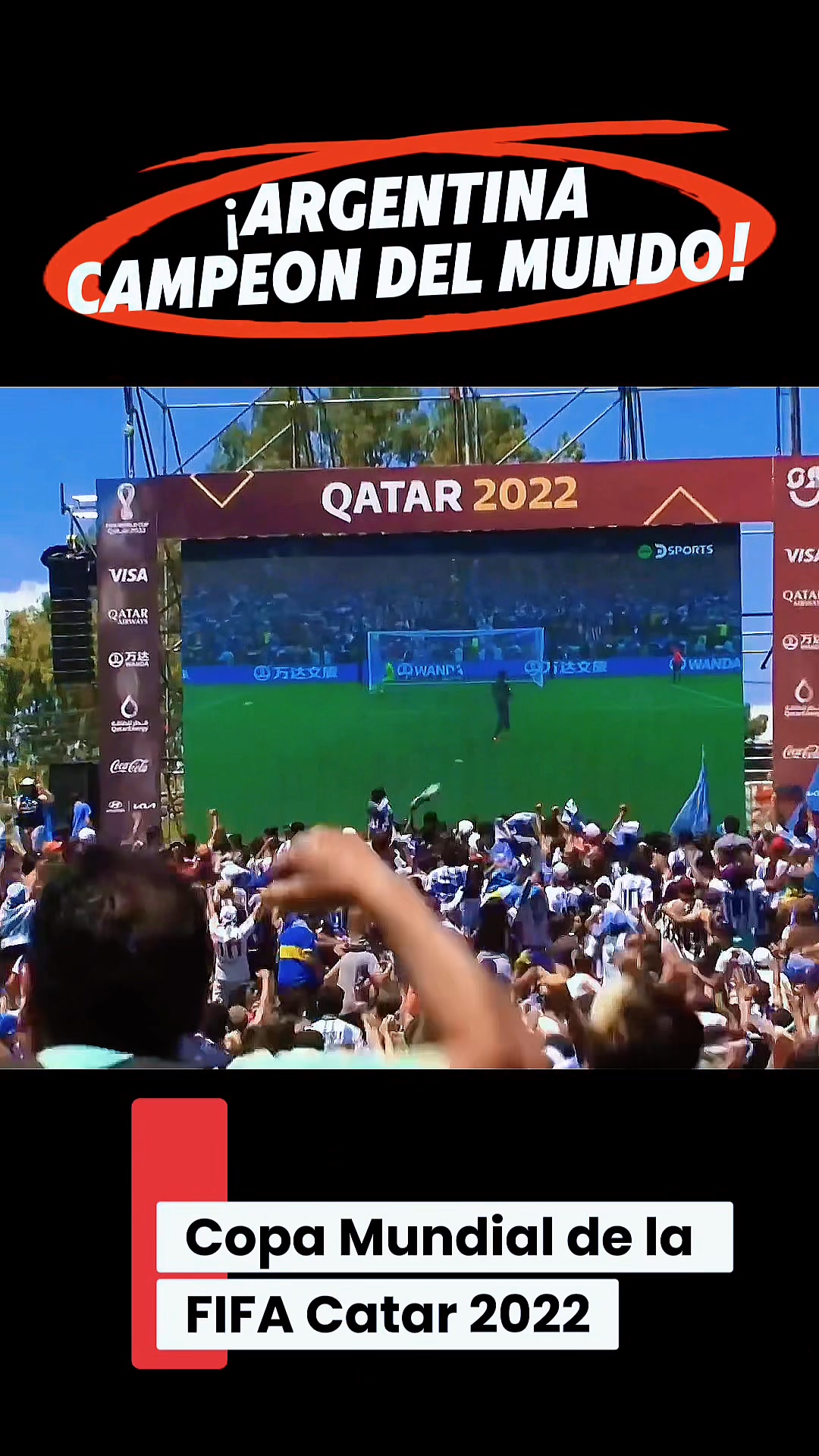 ¡Festejo inolvidable! 🇦🇷🔥 Así se vivieron los penales de la final del ...