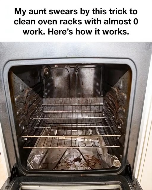 Cleaning Your Oven Racks right now | Powerful Inspiration Daily | Facebook