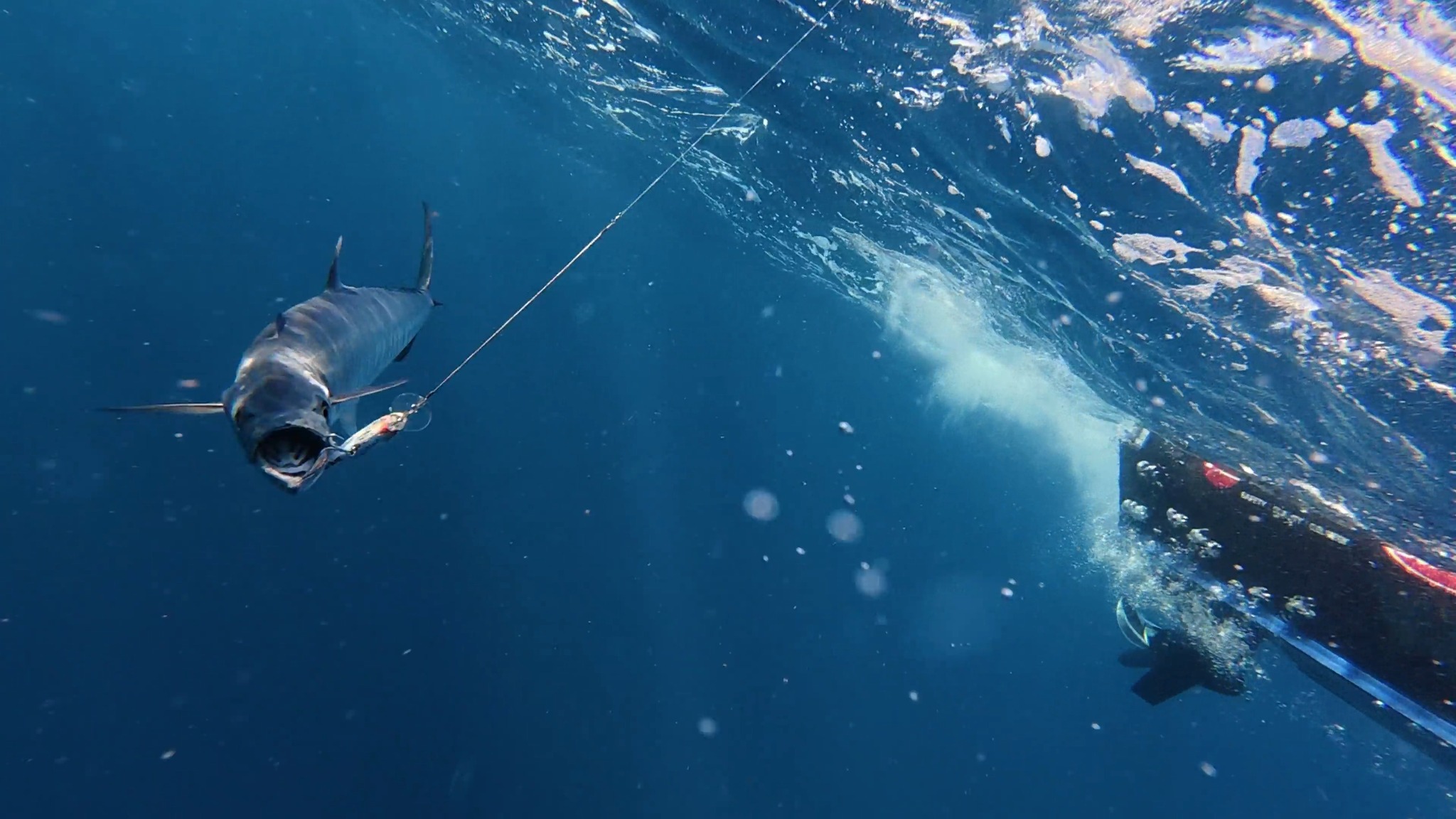 This week on Reel Action TV, Guesty's off the coast of Central ...