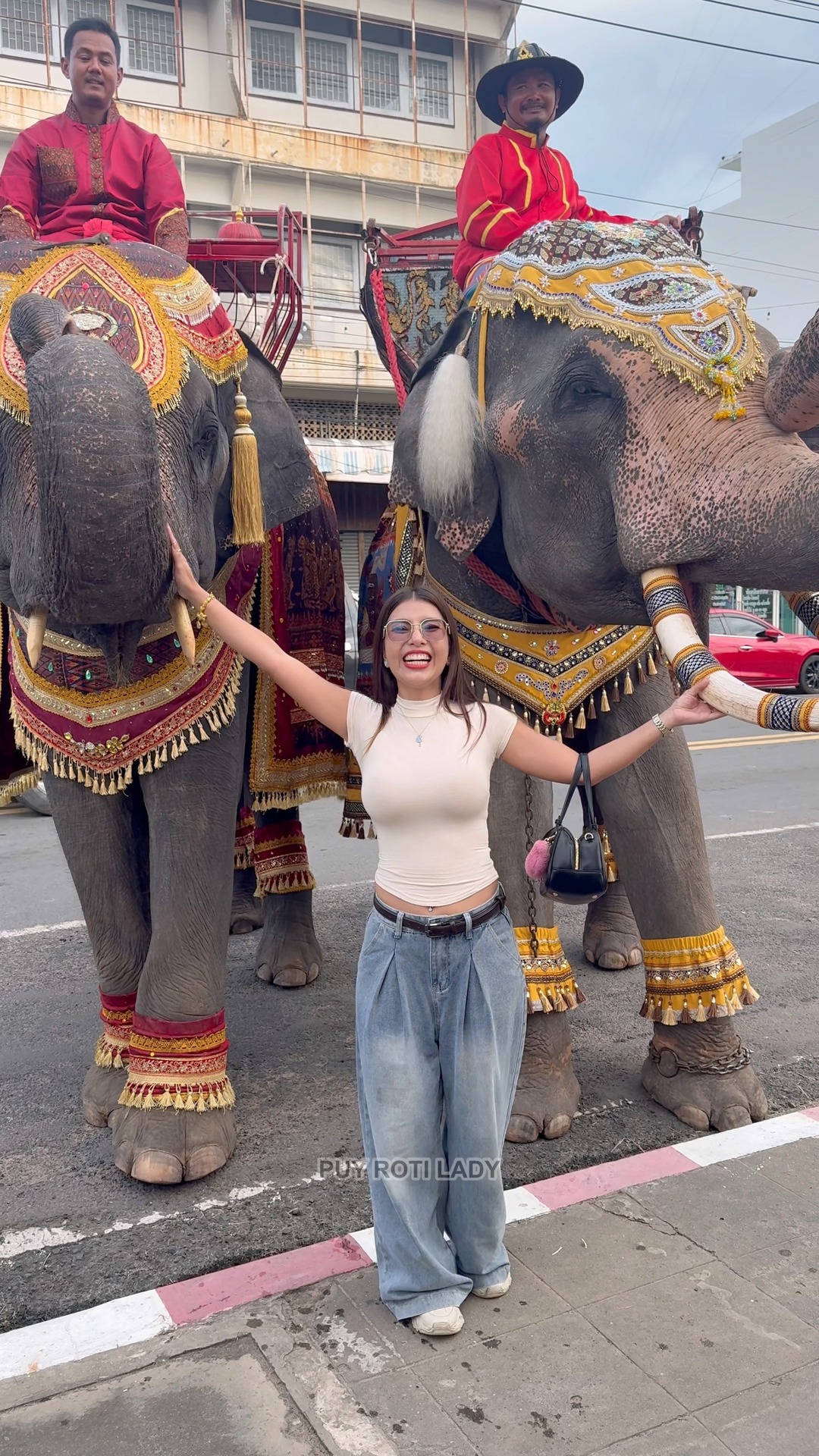 Elephants are so beautiful and amazing. | Puy Roti Lady | Facebook