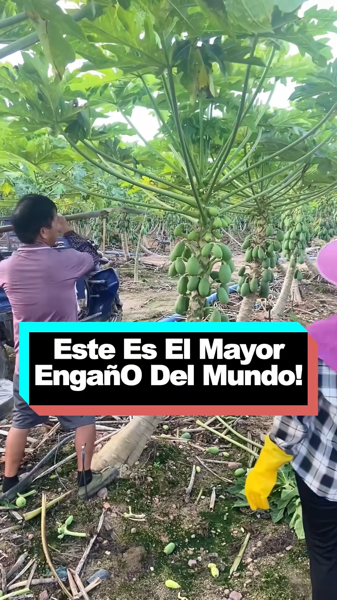 Este es el mayor engaño del mundo #eating #delicious #foodtiktok # ...