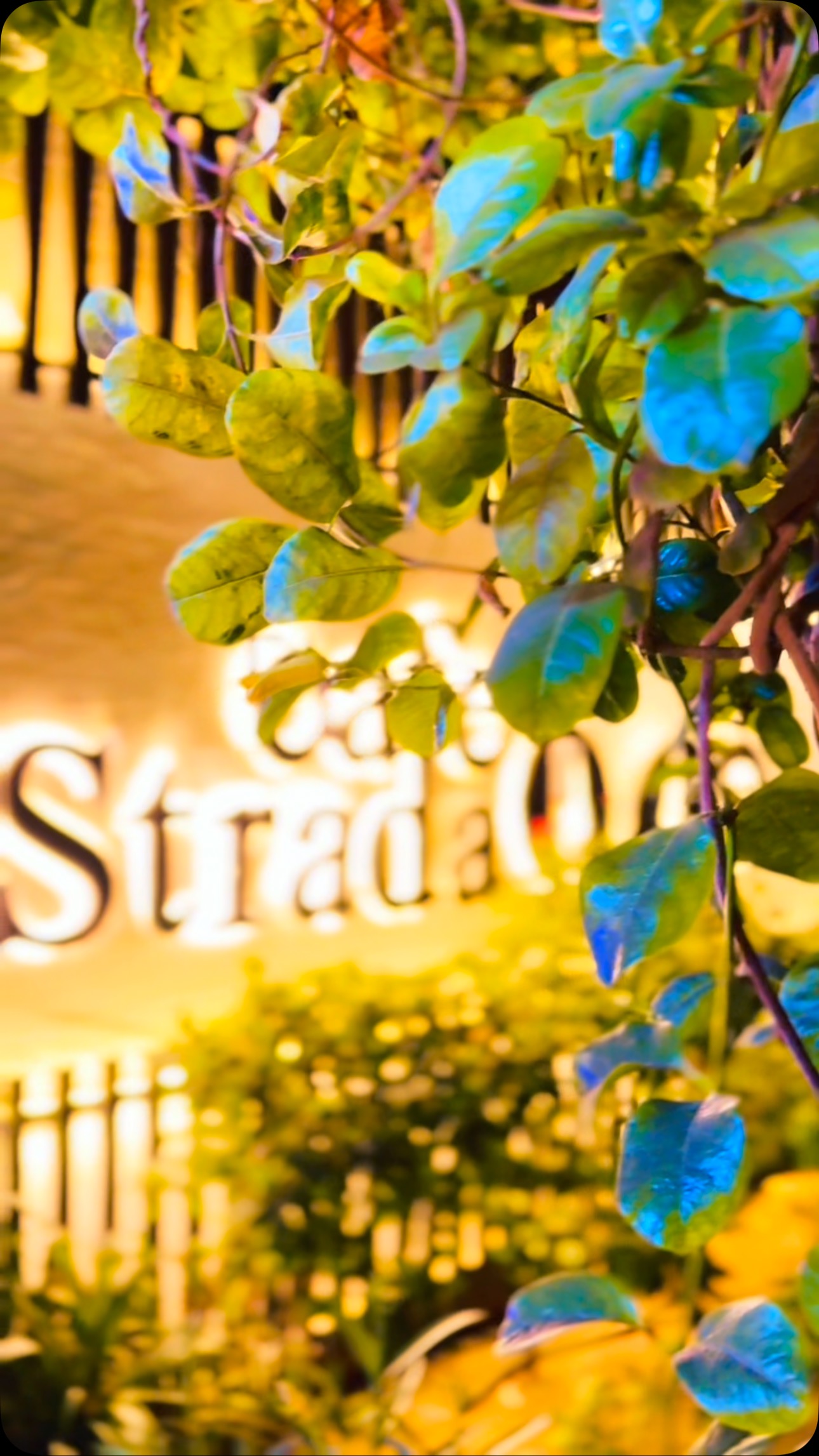 Cafe Strada | Karachi