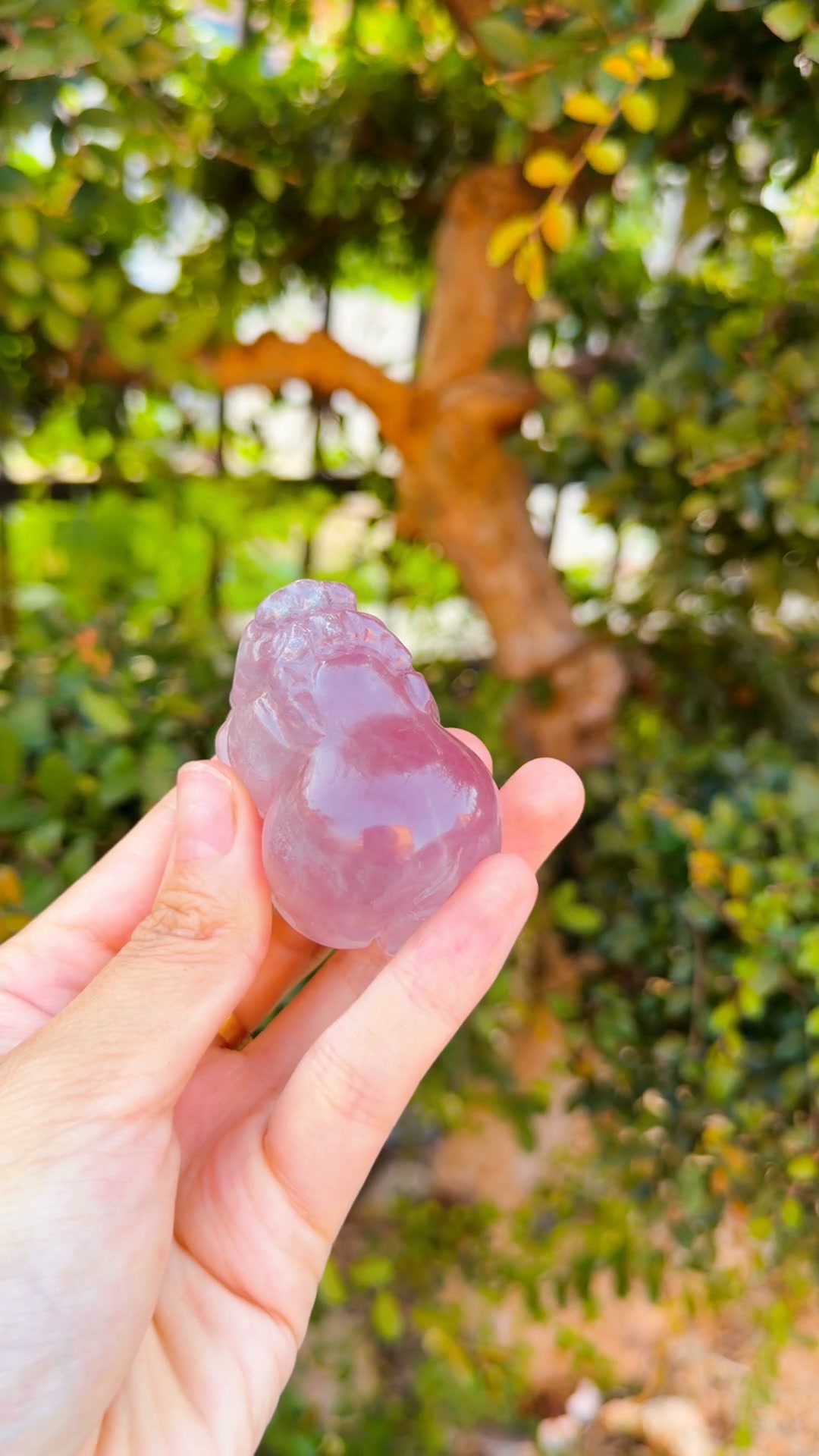No.1 fluorite pixiu | Appreciation of Rough Crystal