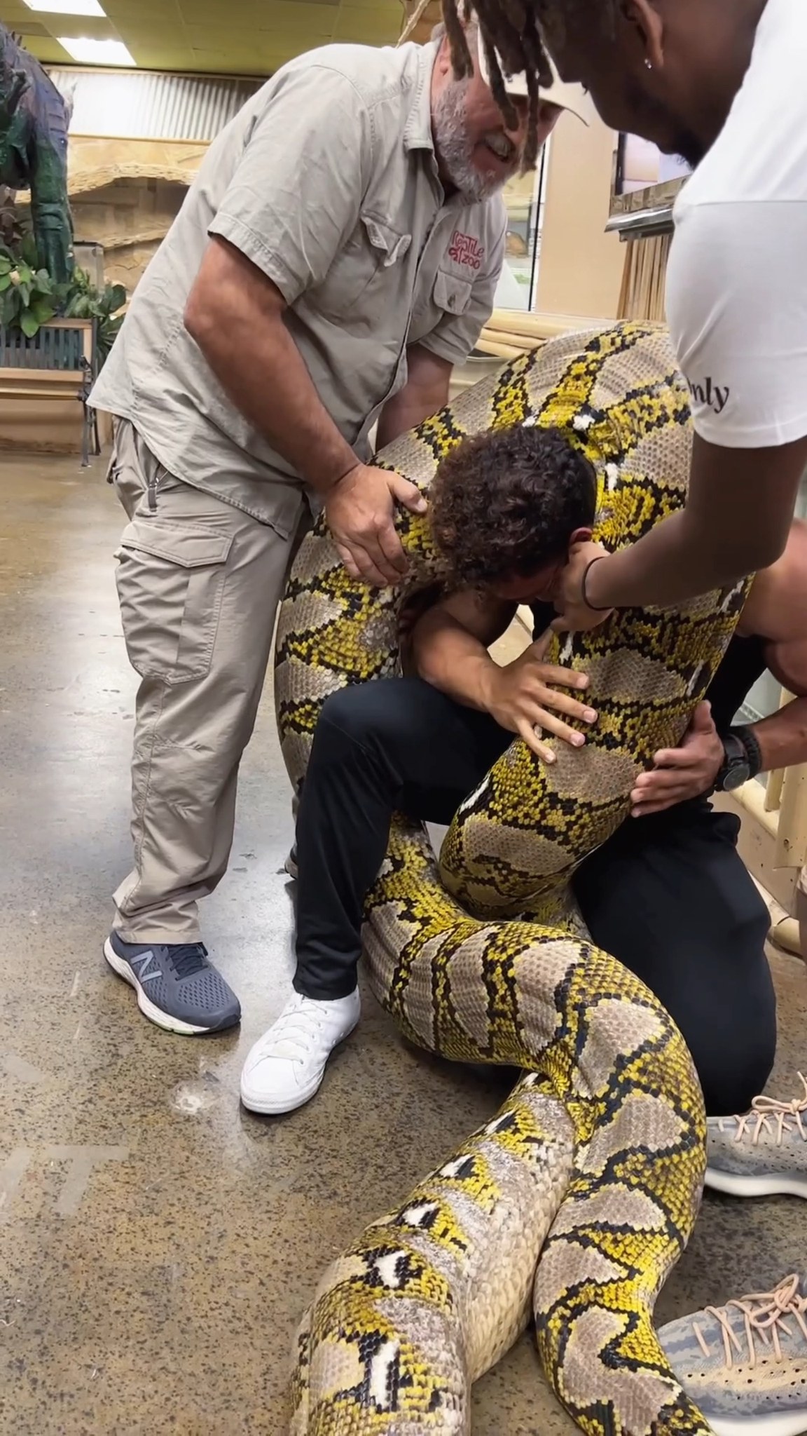 🐍 Watch baby snakes hatch from their eggs and witness the rare miracle ...