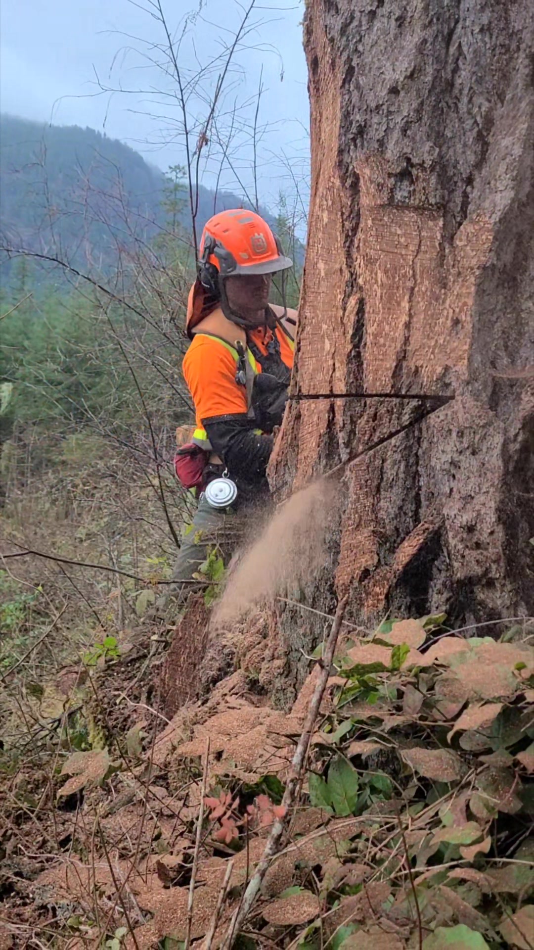 JS New Faller Training