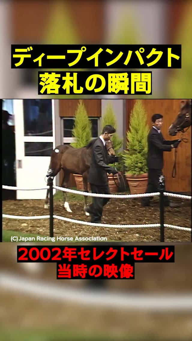 DEEP IMPACT is 17 now and still looking magnificent