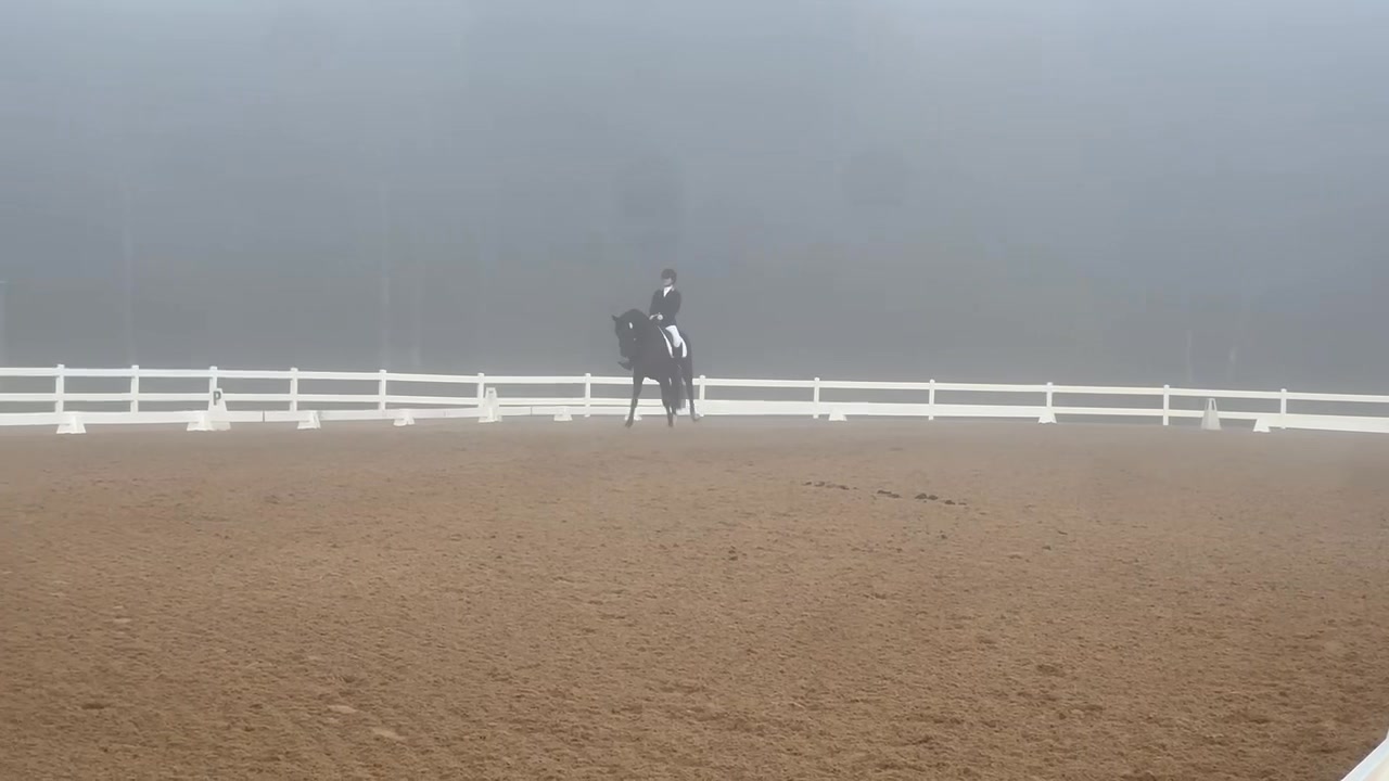 Divano’s first competition in the USA and he made us proud! Ali rode ...