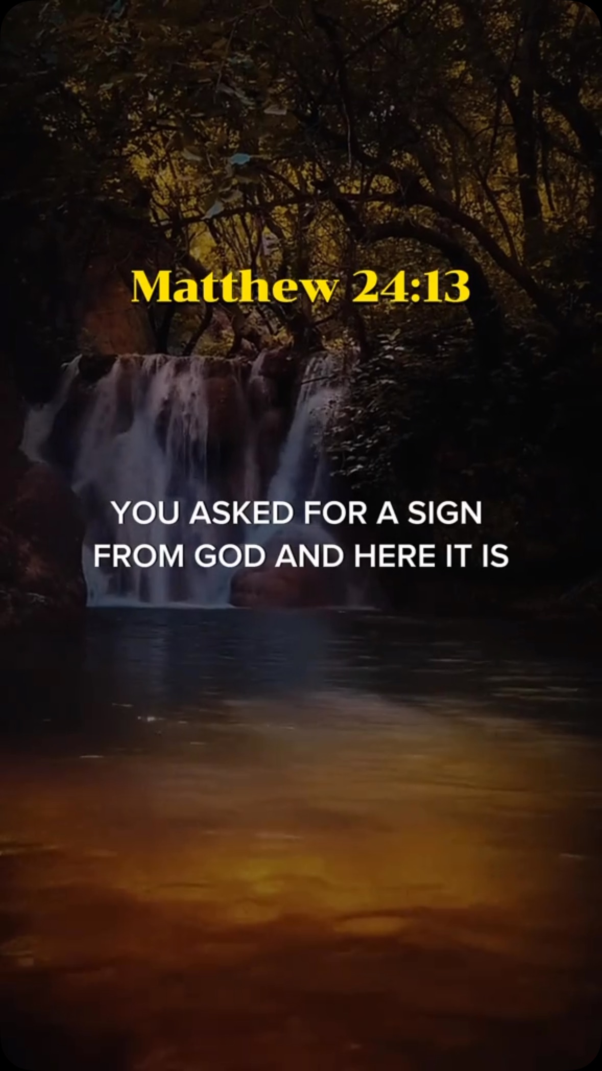 | The Bible Verse | Facebook