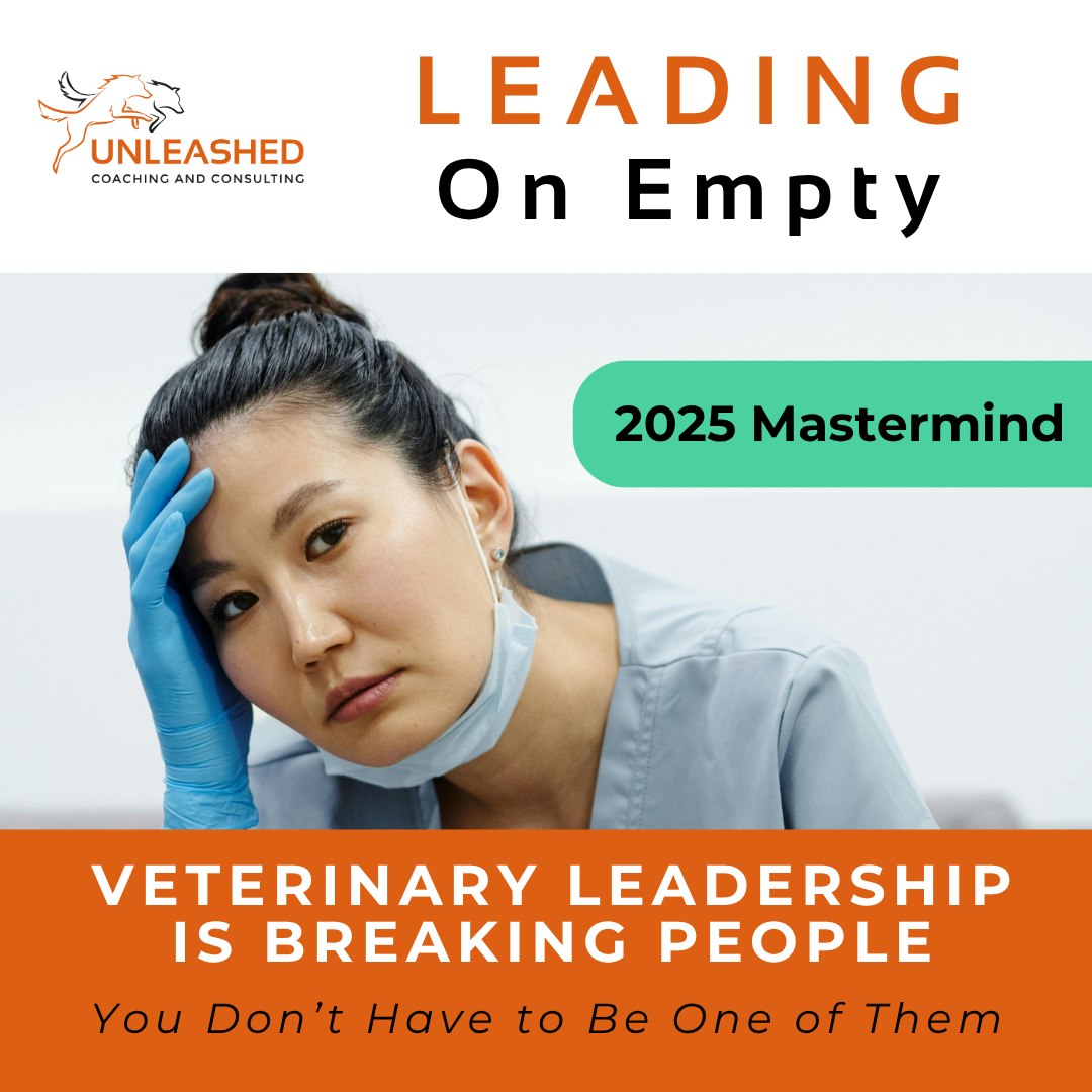 Unleashed Coaching and Consulting