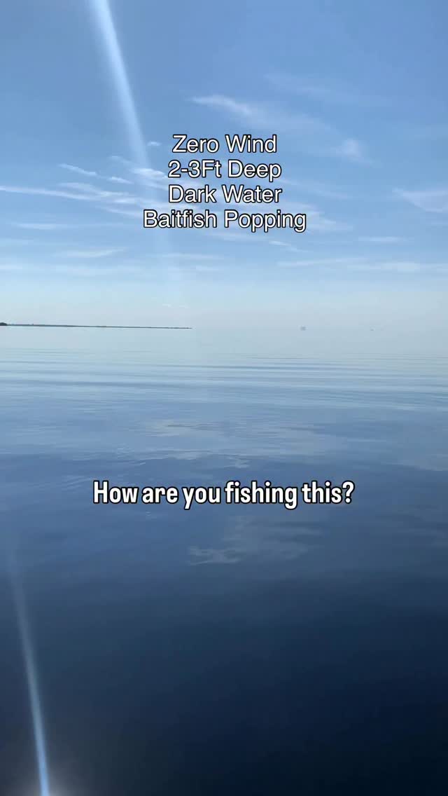 billie eilish fishing lure VIB Blade Bait Lures | Metal Lipless The Halo Shad is rigged with hook and weighted Bill Lewis Precise Walleye Crank
