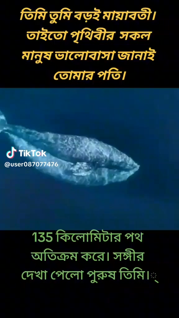মারুফা শারমিন