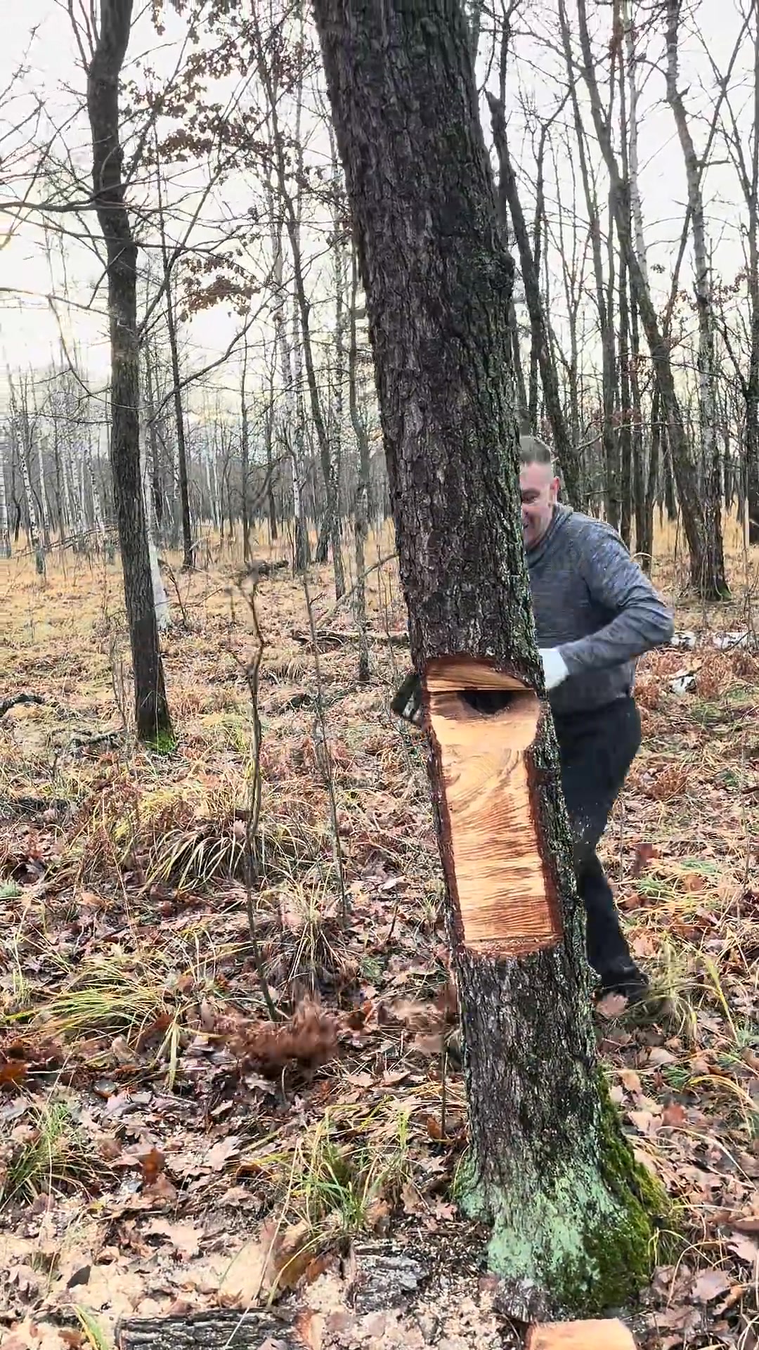 Wood Working on The Trees #wood #working #woodworking #trees ...