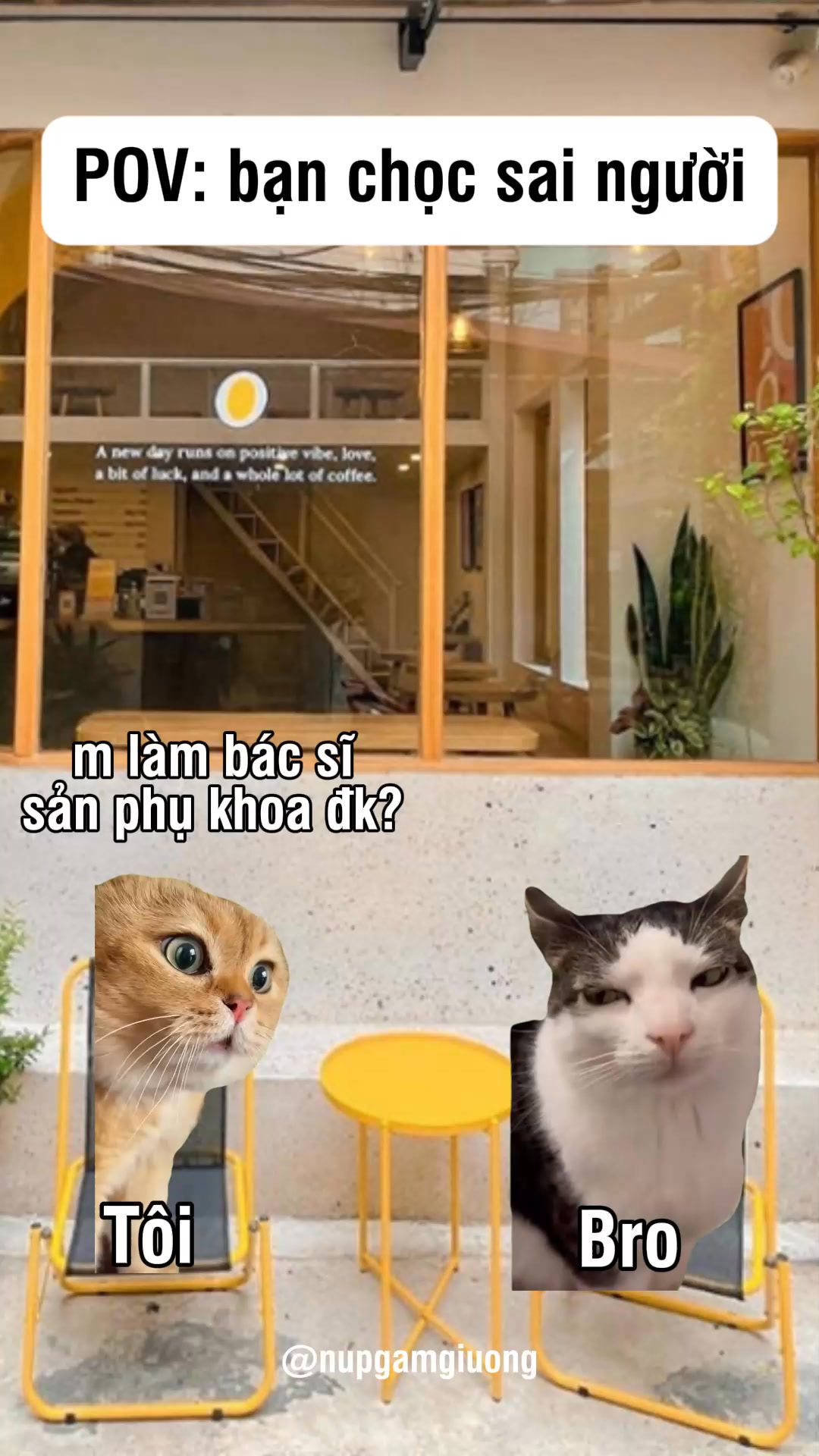 Khi bạn chọc sai người #cat #memes #j4f #nupgamgiuong | Núp Gầm Giường ...