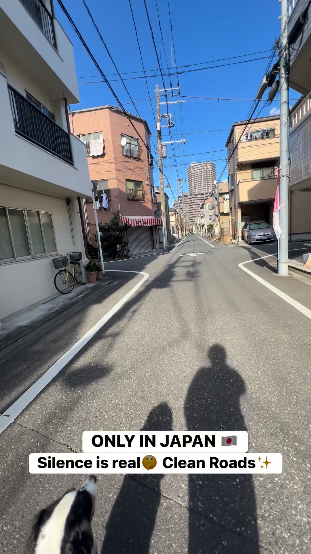 ONLY IN JAPAN 🇯🇵 Silence is real 🤫 Clean roads #japan #onlyinjapan # ...