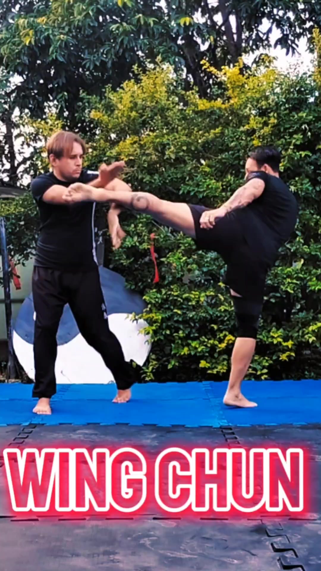 WING CHUN 🆚 CHUTE 👣 #wingchun #minhafestajunina #taekwondo #capoeira # ...