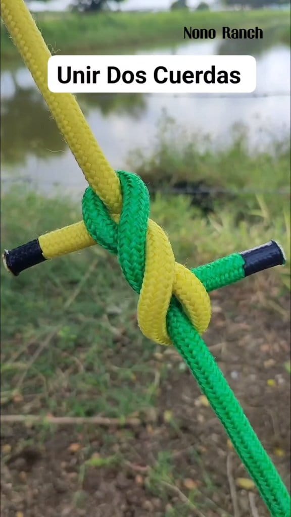 Nudo para atar caballos 🐴 #amarres #knot #nudos 👌💯 | Nono Ranch | Facebook