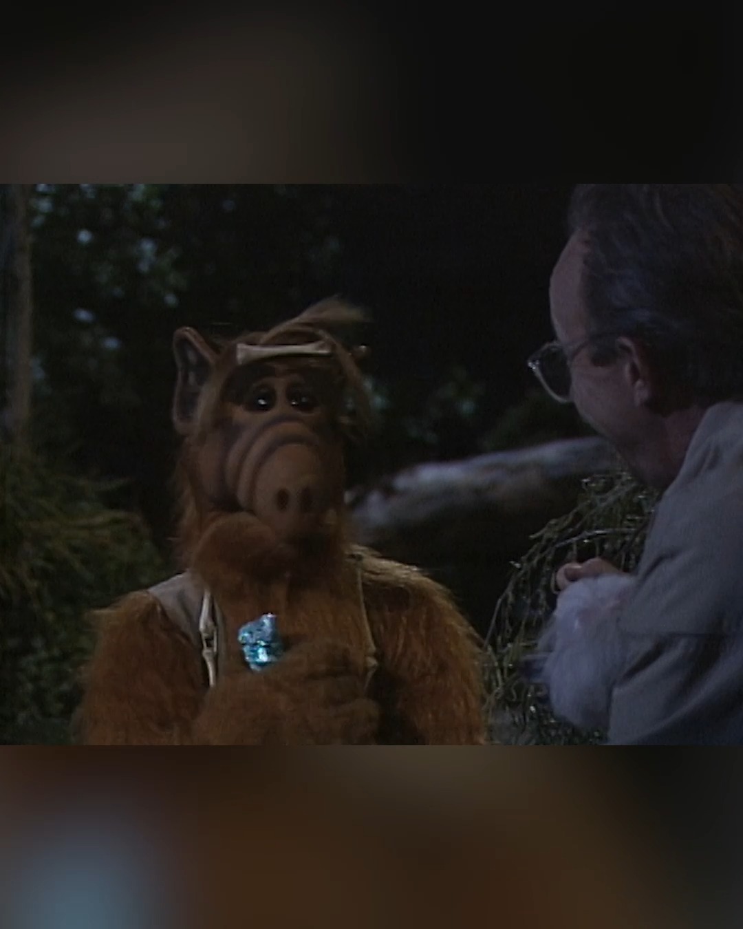 Wolf? ALF? Whoever he is, one thing's for sure: he must feed! #alf # ...