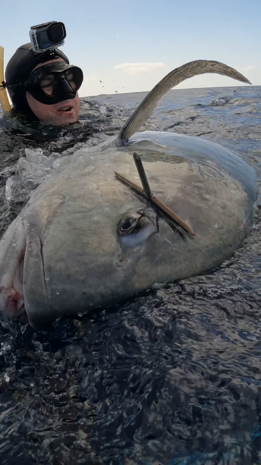 Spearfishing The Ocean's Strongest Fish | Ryan Myers