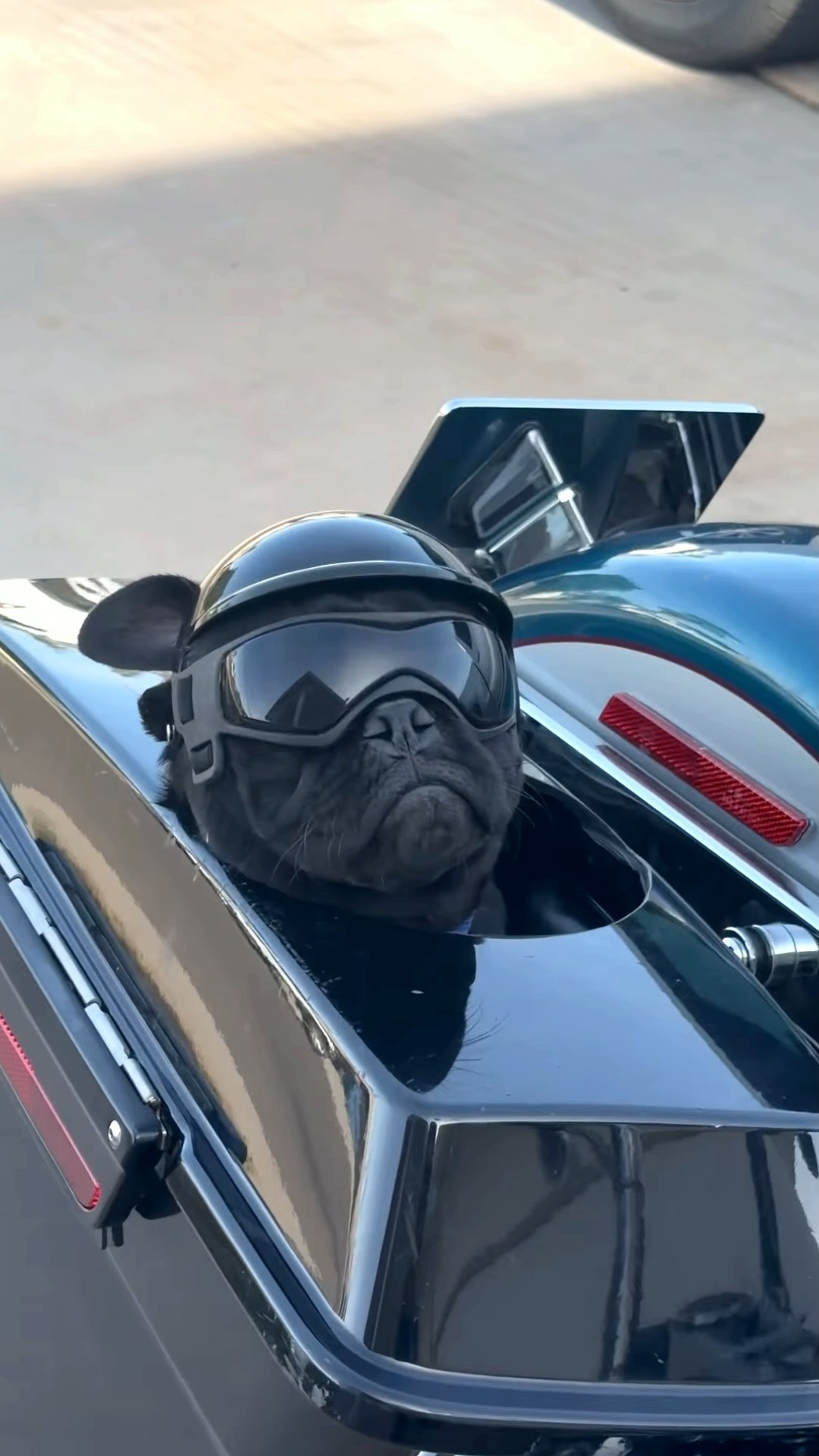 frenchie motorcycle helmet French Bull Dog Biker in Helmet, Cigar Notebook: Frenchies, French Bulldog Notebook Journal: Journal - 120 Page Paperback Notebook Ensure your French Bulldog stays safe and stylish during outdoor adventures with our Protective Helmet Motorcycle Helmet Bulldogs Helmet Ultimate