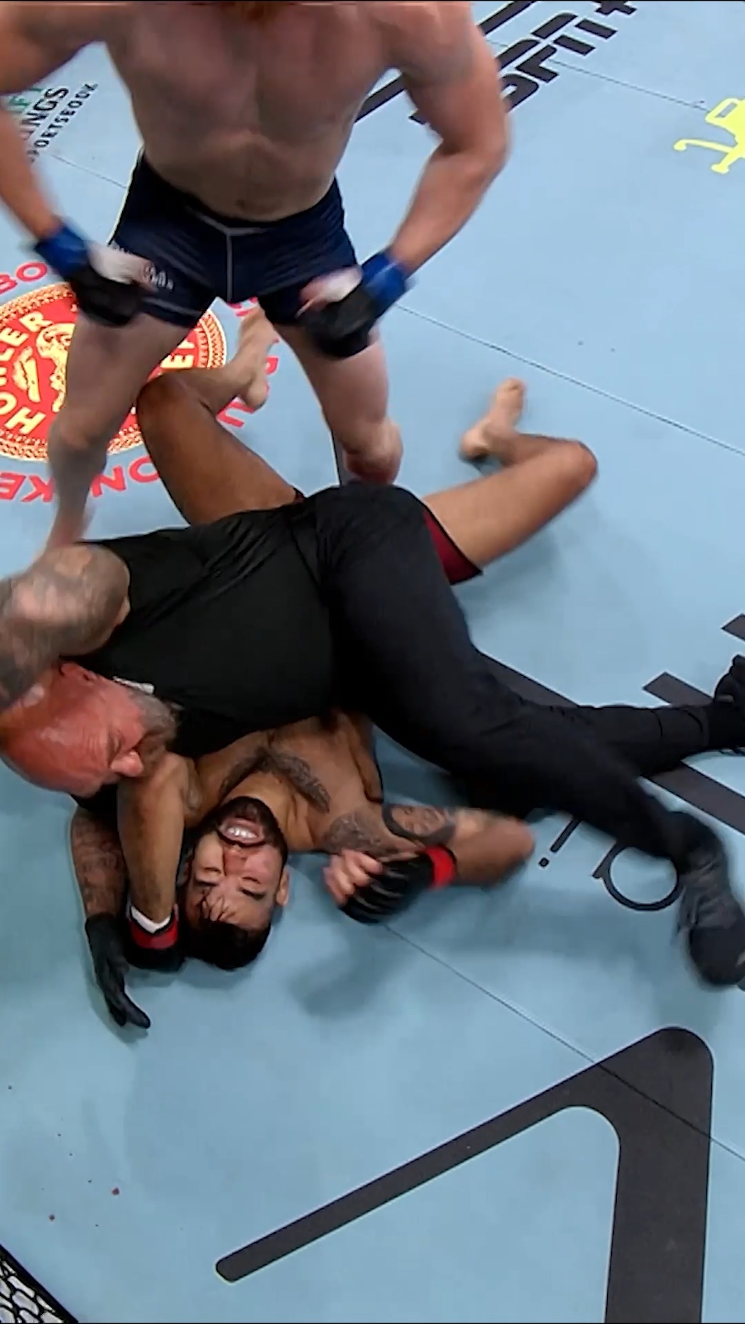Stylebender was flawless when he fought Paulo Costa 👌 Adesanya defends ...