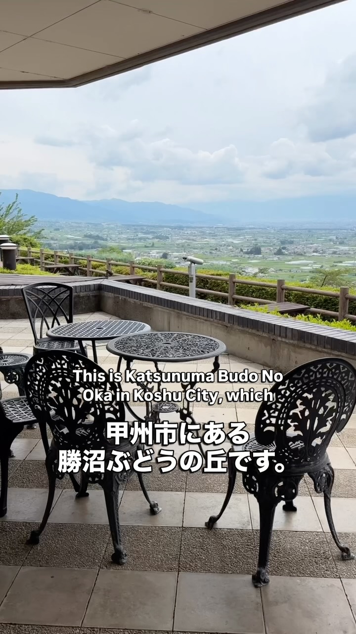 山梨ワインを景色と一緒に🍷 Katsunuma Budo no Oka, meaning “Grape