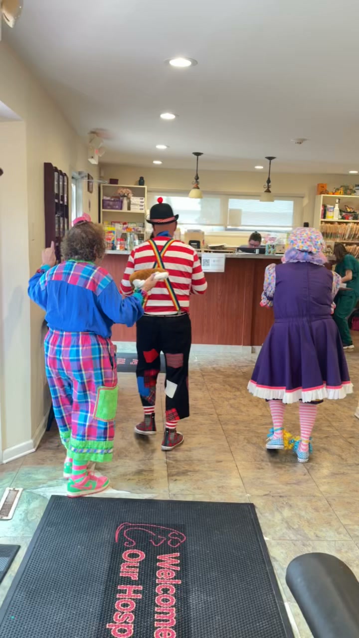 Call Us Clowns | Saddle River NJ