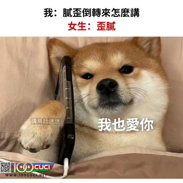 你很fai蛋~ IG: birdtalkmeme . . #梗 #梗圖 #梗图 #梗圖系列 #梗图系列 #梗圖大全 #梗圖推推 #梗圖分享 ...