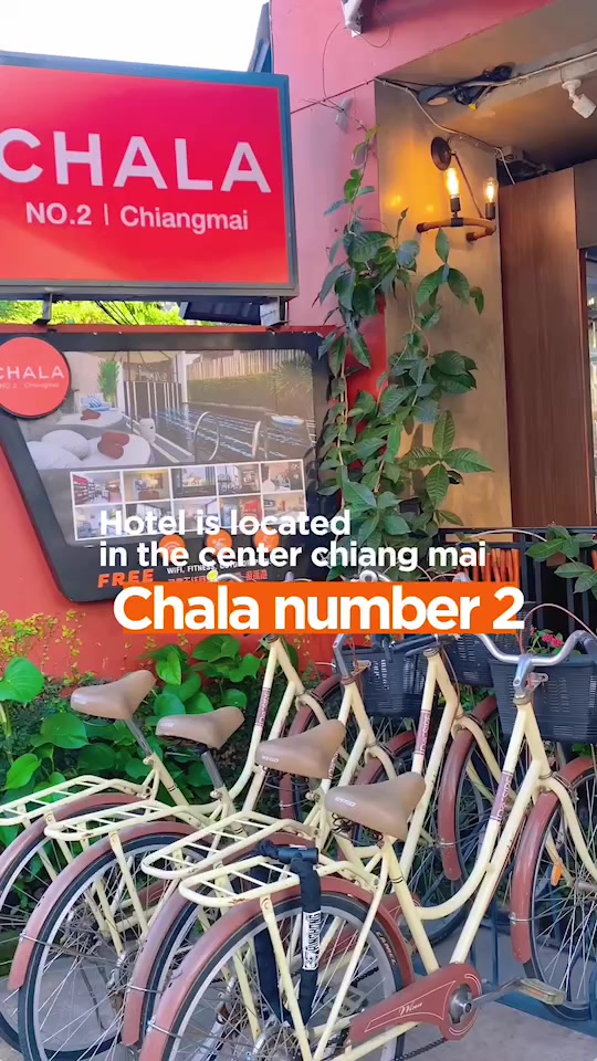Chala Number 2 | Chiang Mai