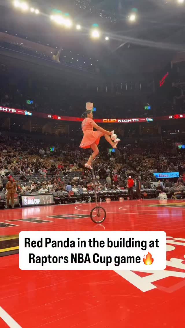 Red Panda in the building for the Raptors vs. Knicks #NBACup game 🔥 ...