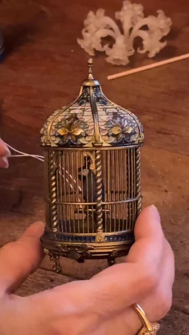 Petworks CCS Ruruko doll Bird Cage, boy (Available) www.cc-toys