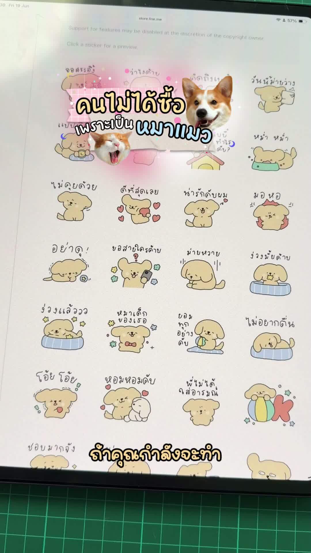 Say it with a bunny! 🐰💛 My LINE sticker set is now available